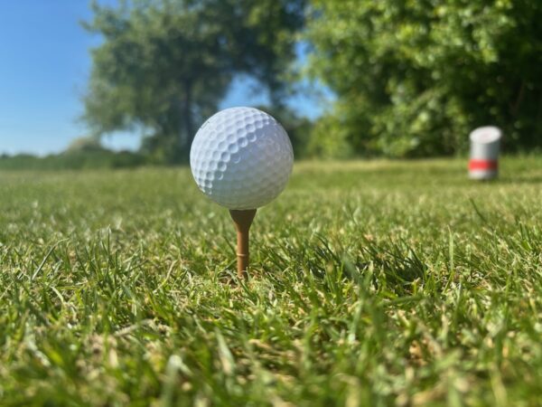 1. Golftee „Hit-Tee“ - 100 pcs / Package – Bild 2