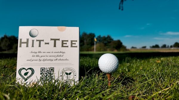 1. Golftee „Hit-Tee“ - 100 pcs / Package – Bild 6