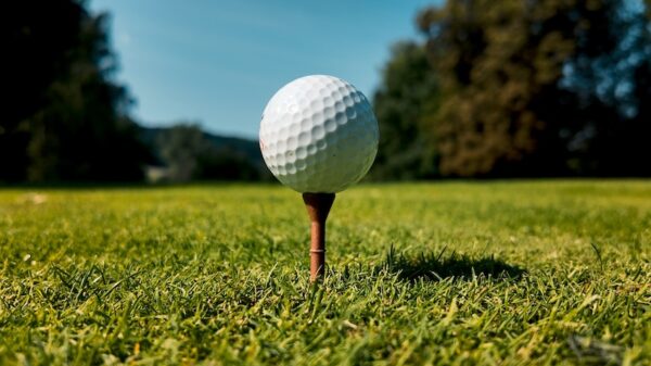 1. Golftee „Hit-Tee“ - 100 pcs / Package – Bild 5