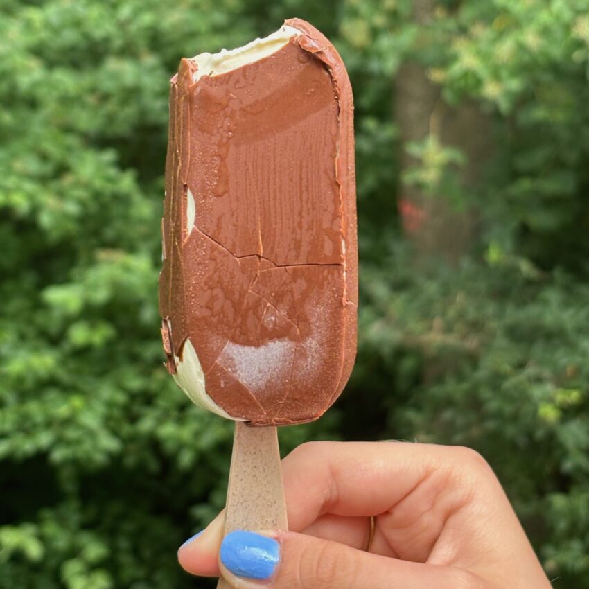 ice cream stick