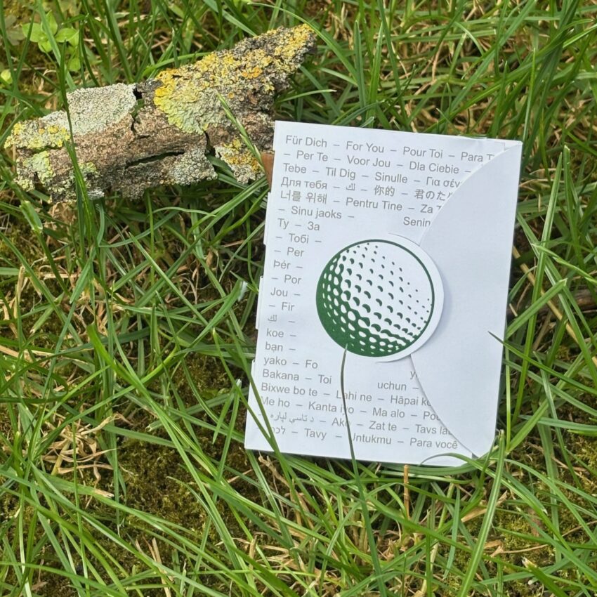 Golf Tee in Gift- Tee Package for Giveaways